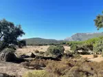 Het ruwe en groene Sierra de Grazalema berggebied in het westen van Andalusië is ideaal voor een wandel- of ander soort actieve vakantie in Zuid-Spanjer>>