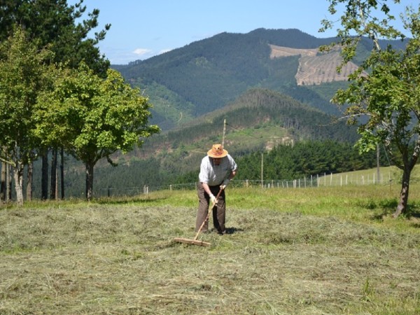 Boer aan het werk in Berroka Urdaibai Noord-Spanje