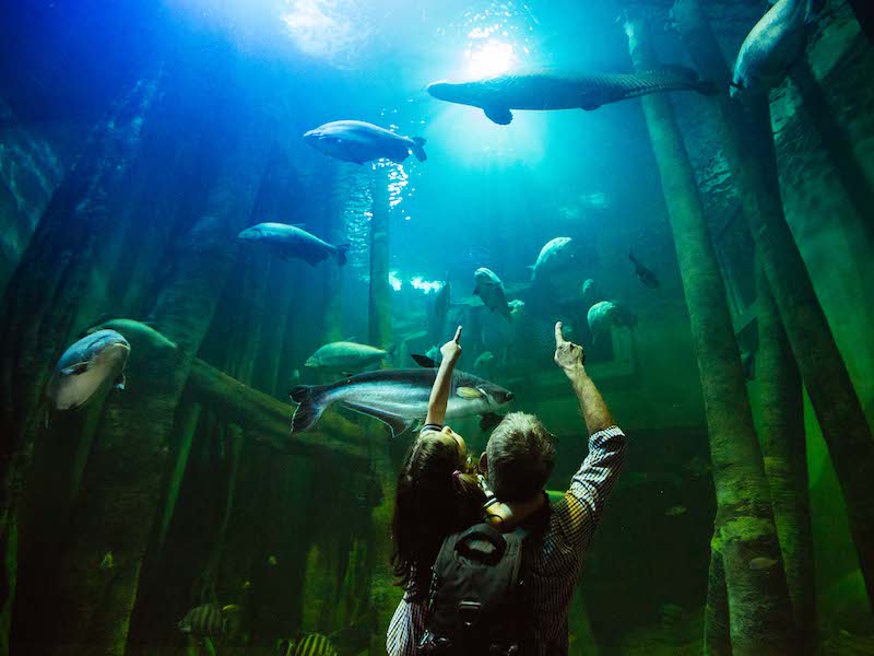 Het Aquarium van Zaragoza- Foto: Maria Vecino