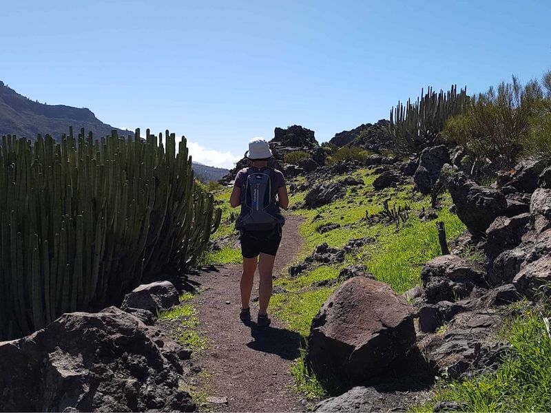 De Camino Real wandelroute in Parque Rural de Teno op  Tenerife