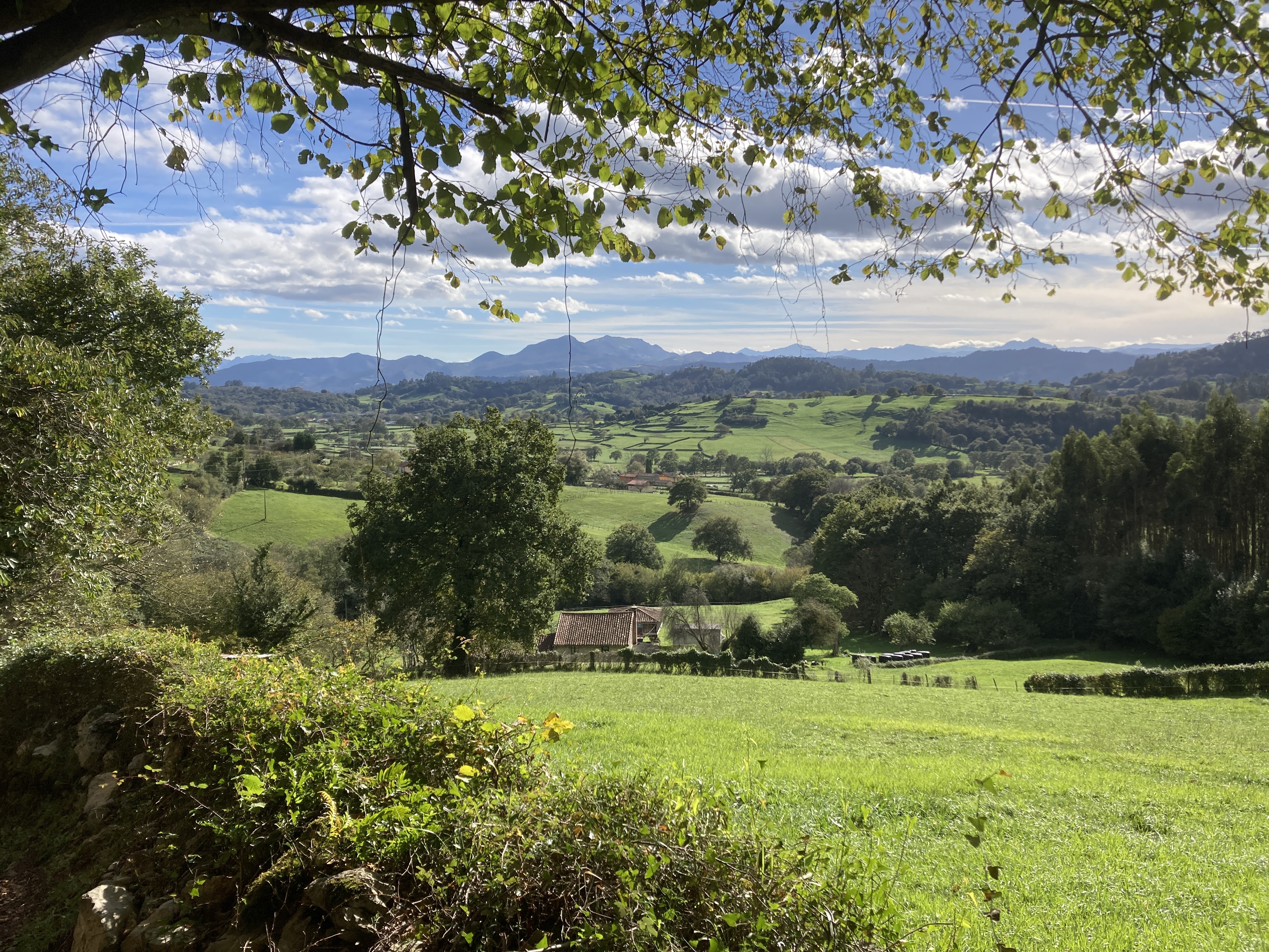 Ontdek met IntoAsturias prachtige natuurgebieden als Peña Careses in Asturië