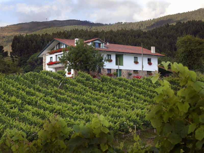 Door wijngaarden omgeven agriturismo Basarte Cottage in Baskenland