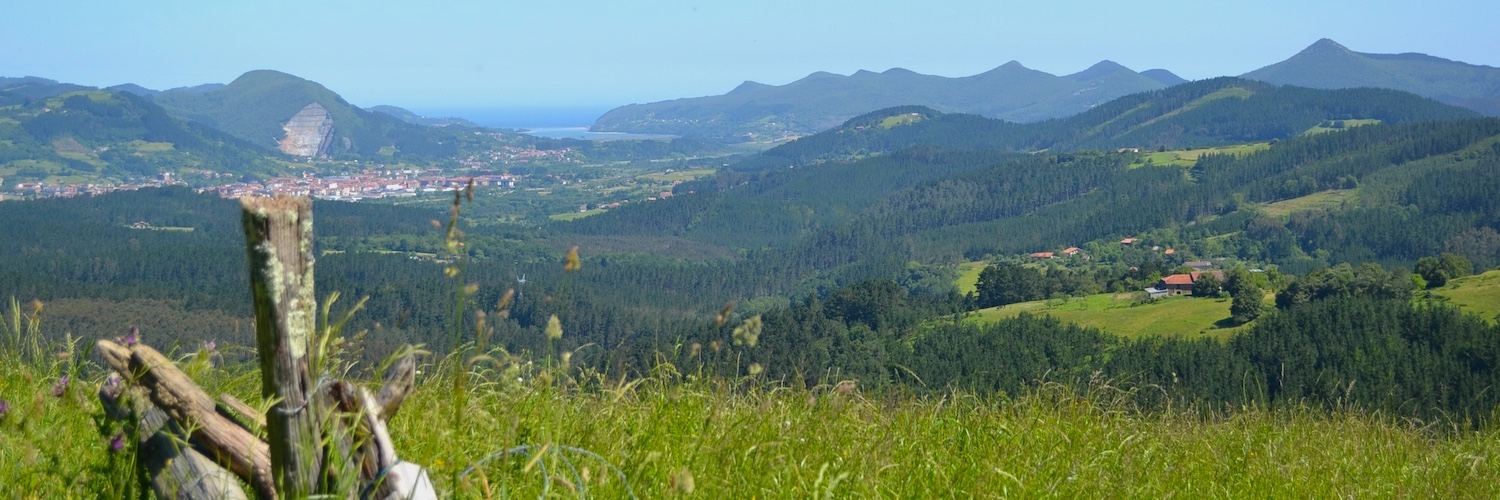 Geniet van glooiend groen berglandschap in Noord-Spanje