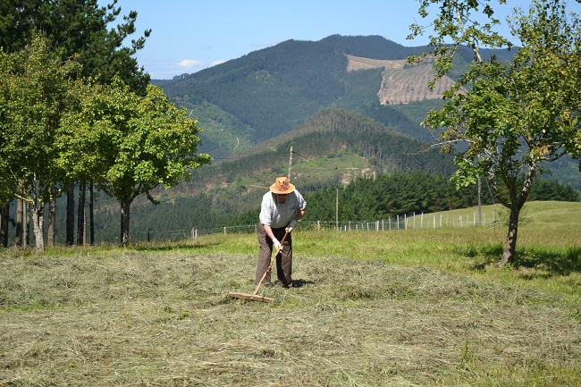Een boer in biosfeerreservaat Urdaibai in Baskenland