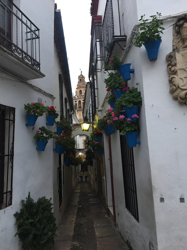 De kleurrijke Calleja de las Flores in Córdoba (Andalusië)