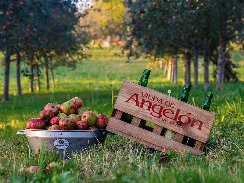 Cidermakerij Viuda del Angelon in Nava (Asturië, Noord-Spanje)