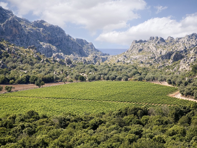 fietsvakantie-Mallorca-spanje-aktivatours-800x600.jpg