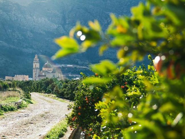 Vía Verde del Aceite in Andalusië