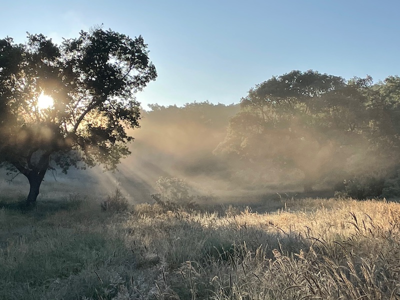 Omgeving Finca El Zorro Holandés in Spanje