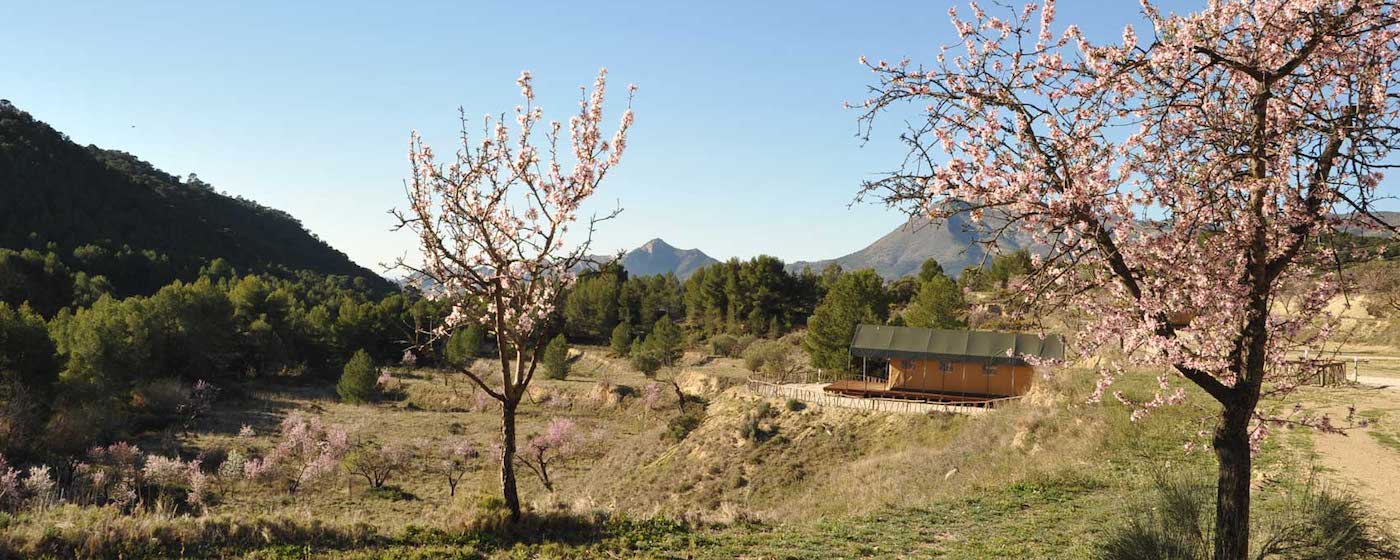 Luxe kamperen op prachtig gelegen glampings in Zuid-Spanje