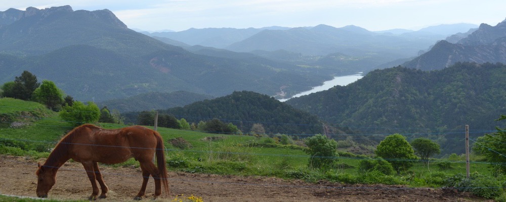 Vredig groen berglandschap in Oost-Spanje