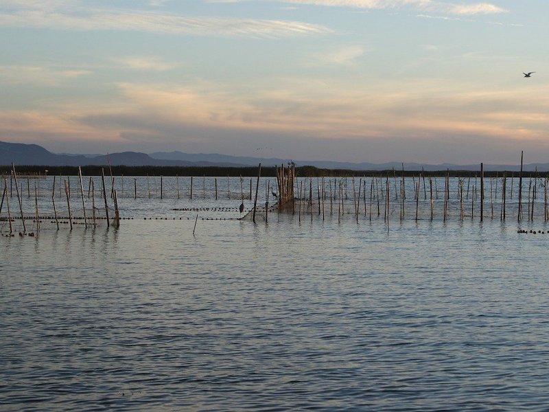 Natuurgebied Albufera in regio Valencia