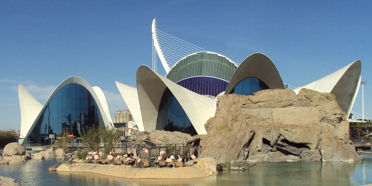Aquarium in de Stad der Kunsten en Wetenschappen van Valencia