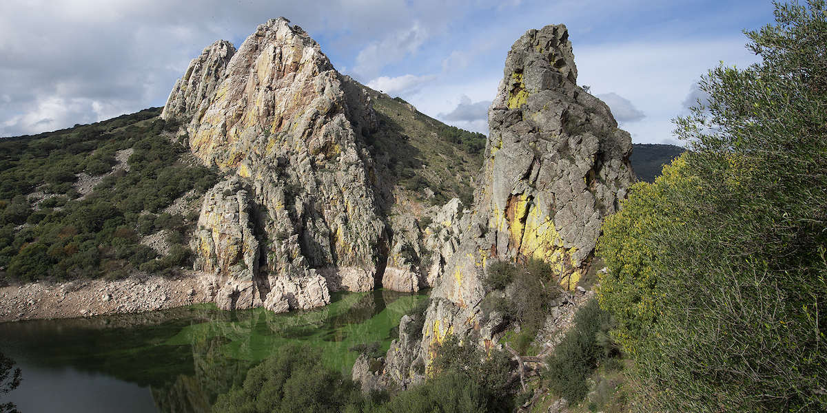 De Peña Falcon rots in het Monfragüe park in Extremadura (Midden-Spanje) is een paradijs voor vogels, vogelaars én natuurfotografen! Lees welke vogels er zijn..