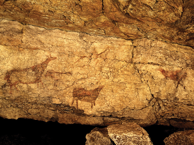 Prehistorische tekening in grot in Cantabrië (Noord-Spanje) 