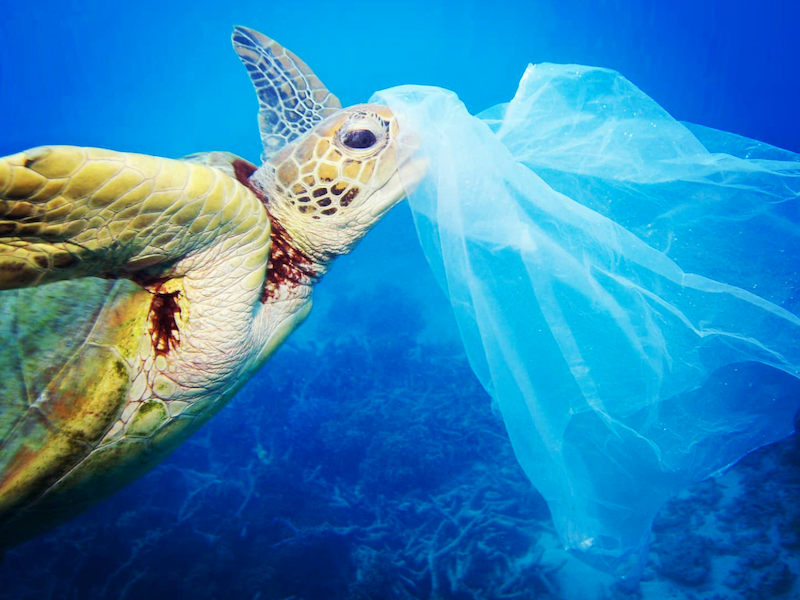 De Spaanse vereniging AEBAM zet zich in voor vermindering van plastic in de zee