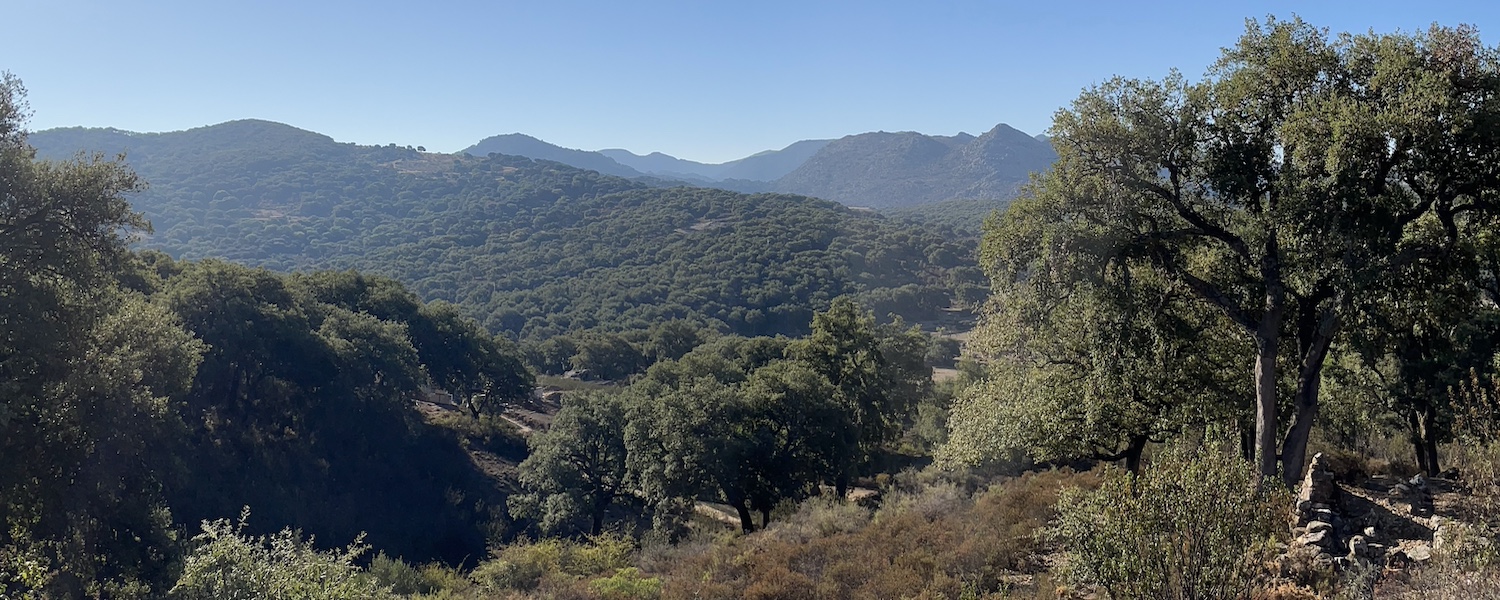 Sierra de Grazalema - ruw groen berggebied in West-Andalusië