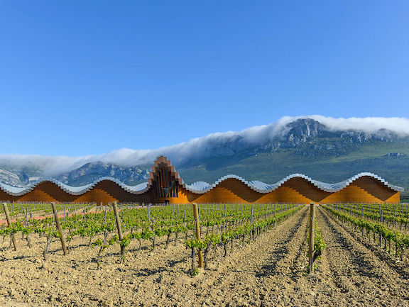 Design wijngaard Ysios in La Guardia (la Rioja, Spanje)