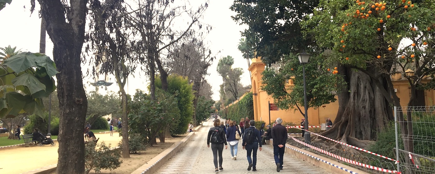 Wandeltour met Nederlandse gids door Sevilla