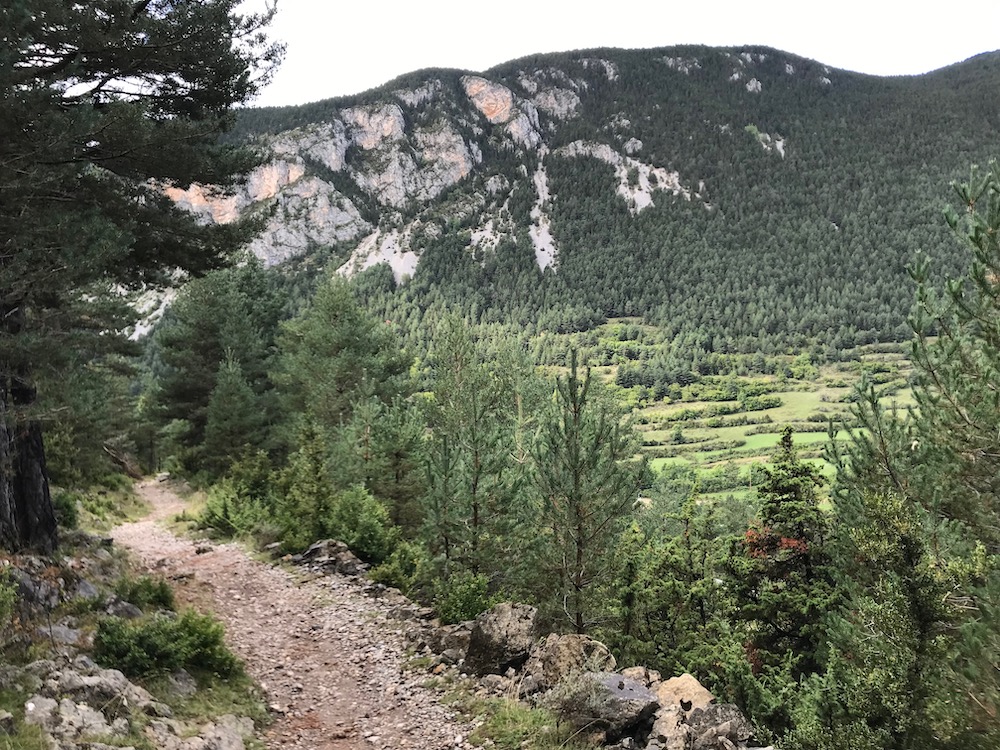 wandelen-natuurpark_cadi_moixero-catalonie-spanjevoorjou-1000.jpeg