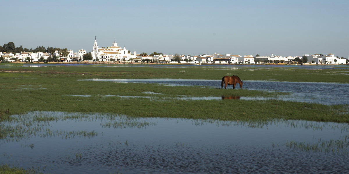 Wetlands van Doñana met op de achtergrond El Rocío