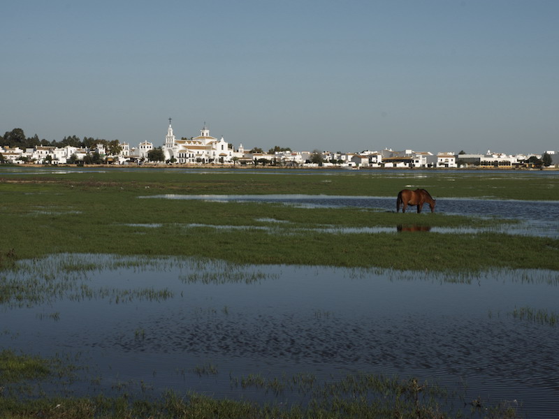 Wetlands van Doñana met op de achtergrond El Rocío