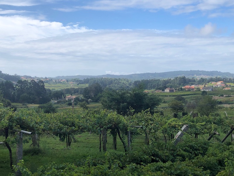 Wijnstreek Rías Baixas in Galicië (Noord-Spanje)