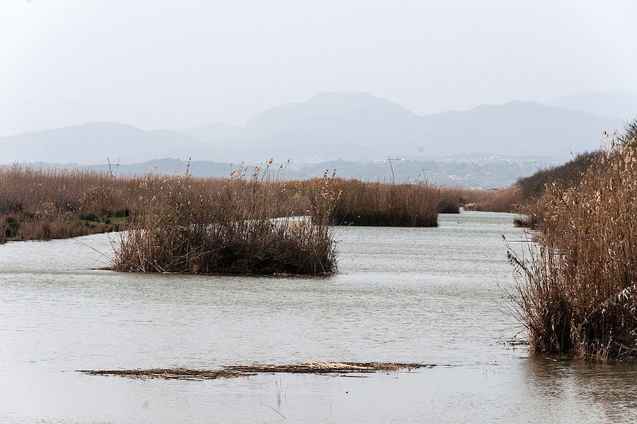 Wetland s'Albufera op Mallorca | Foto: Ralf Roletschek