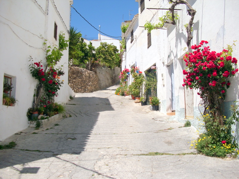 Straatje in wit bergdorp in de Lecrin vallei (Granada, Andalusië)