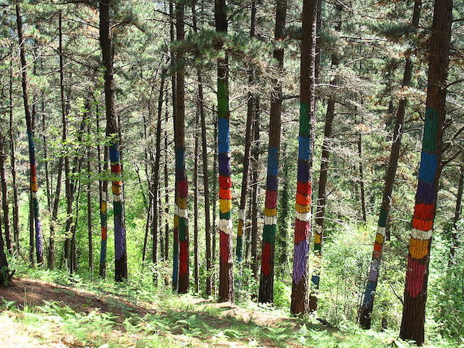 Kunst in de natuur in het Oma bos in Baskenland (Noord Spanje)