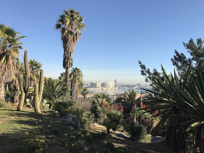 Cactustuin op de Montjuïc in havenplaats Barcelona