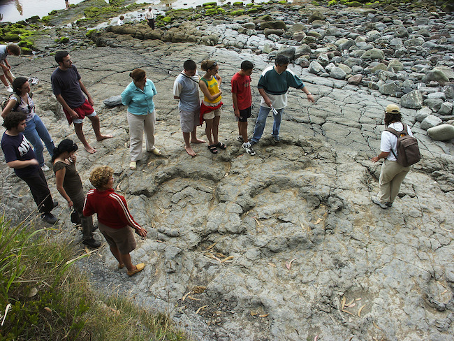 Een van de dinosaurussporen in Asturië (Noord-Spanje; foto: Juanjo Arrojo)