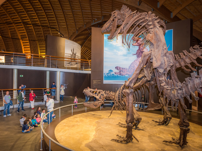 Dinosaurusmuseum in Colunga (Asturië, Noord Spanje) - Foto: Mampiris