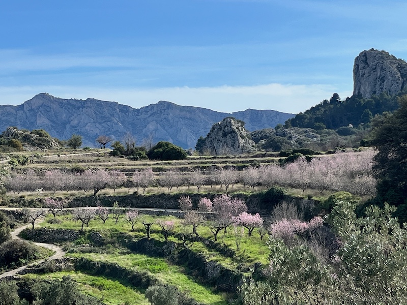 Jalón vallei en Tárbena vallei in binnenland Costa Blanca maken deel uit van amandelbloesemroute Alicante