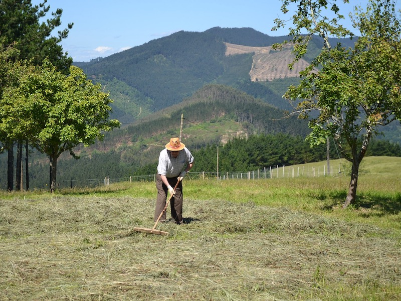 Een boer bij Berroja in biosfeerreservaat Urdaibai (Baskenland)