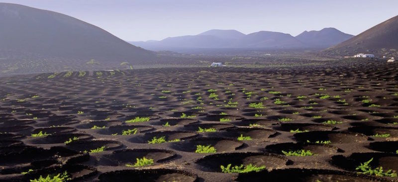 Wijngebied La Geria op het Canarische eiland Lanzarote