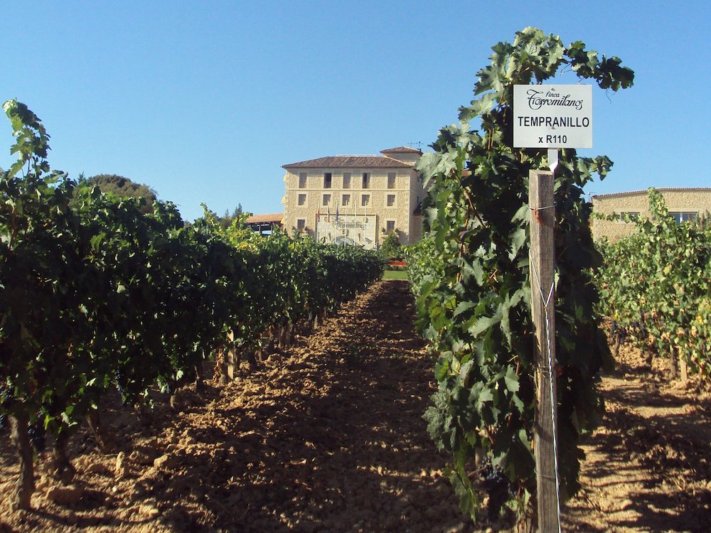 bodega-Torremilanos-Aranda_del_Duero-ribera_de_duero-1000.JPG