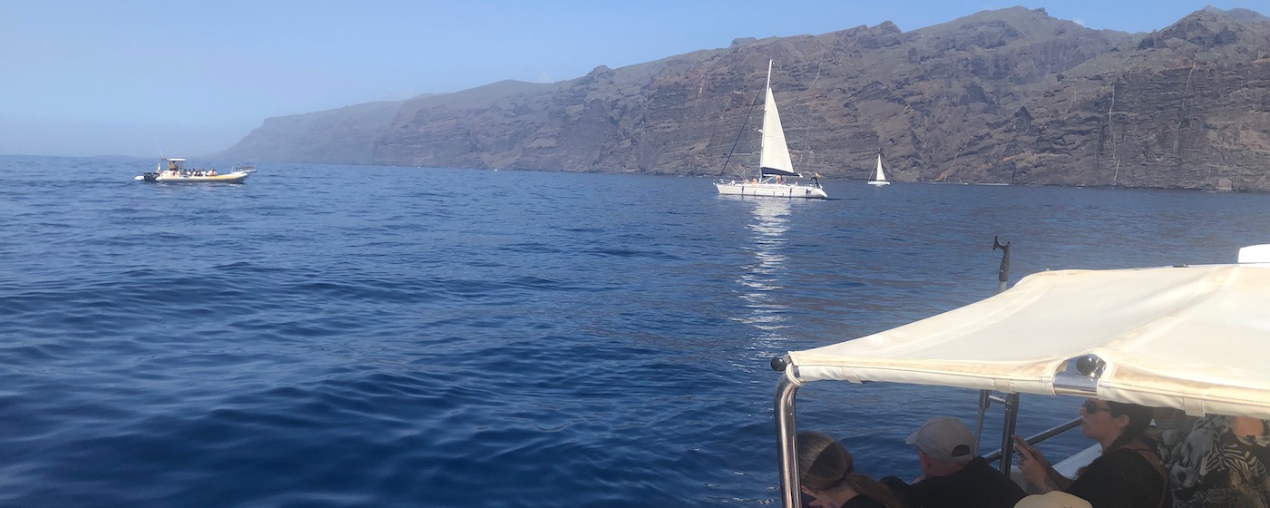Boottocht op Tenerife - bij de kust van Los Gigantes
