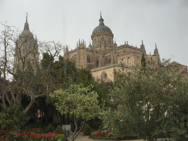 Botanische tuin met uitzicht op de Kathedralen van Salamanca