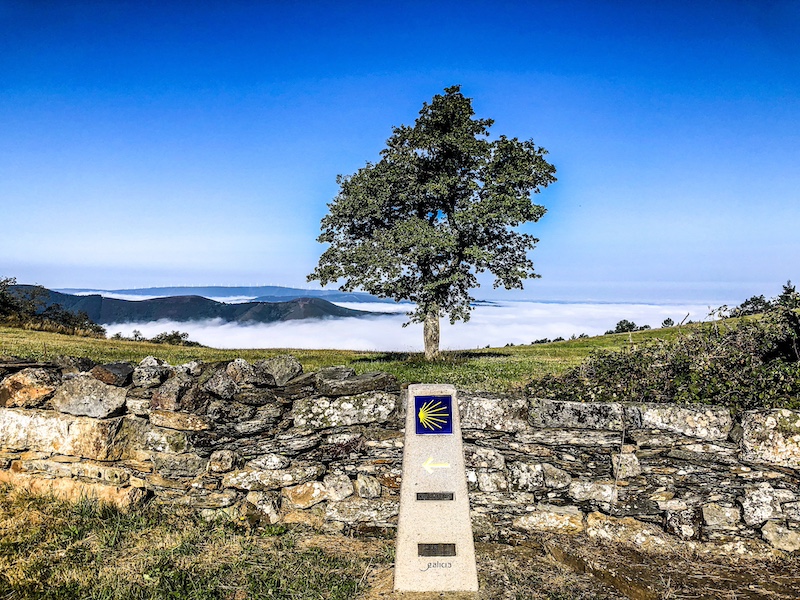 Camino Primitivo: oudste pelgrimsroute naar Santiago de Compostela in Spanje  