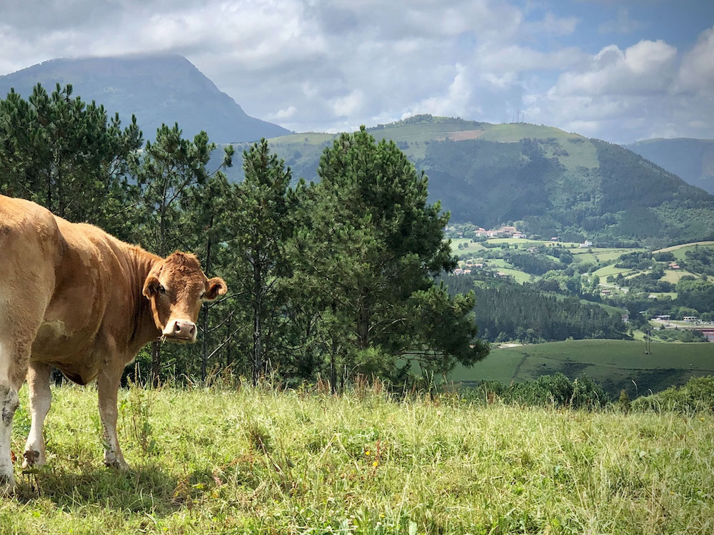 camino_de_santiago-camino_del_norte-wawtravel-1000.jpg