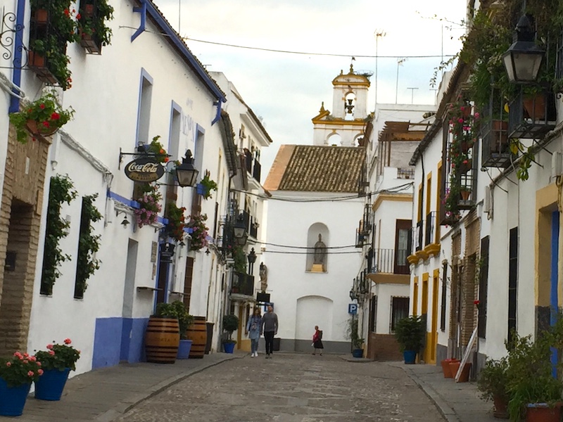 Patios in Cordoba: tijdens Patio Festival Cordoba extra mooi versierd én open voor publiek
