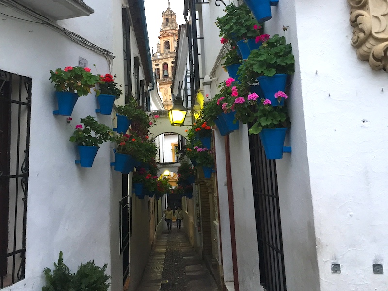 Niet alleen patio's in Cordoba zijn met bloemen versierd; ook het steegje van de bloemen...