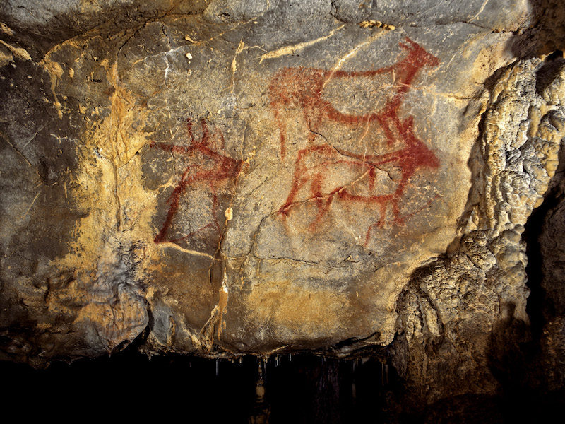 Cueva de la Garma in Cantabrië (Noord-Spanje)