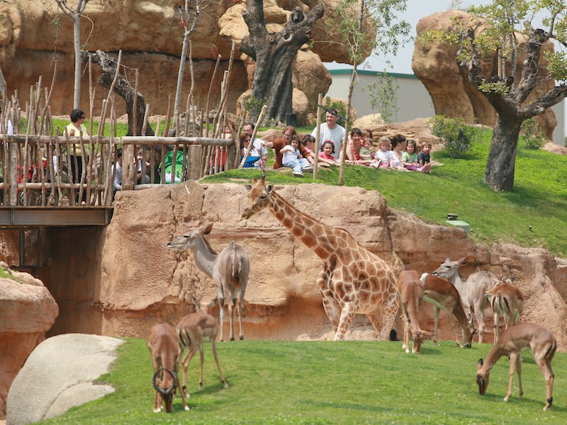 De dierentuin in Valencia