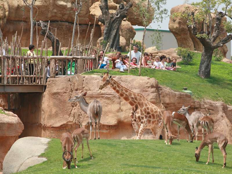 Bioparc - de dierentuin van Valencia