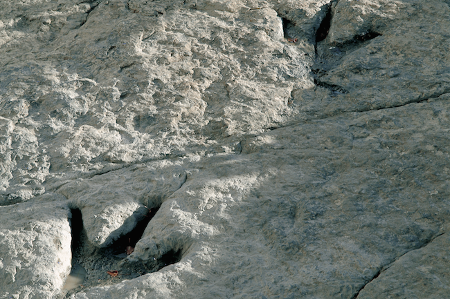 Dinosaurussporen in La Rioja (Midden Spanje)