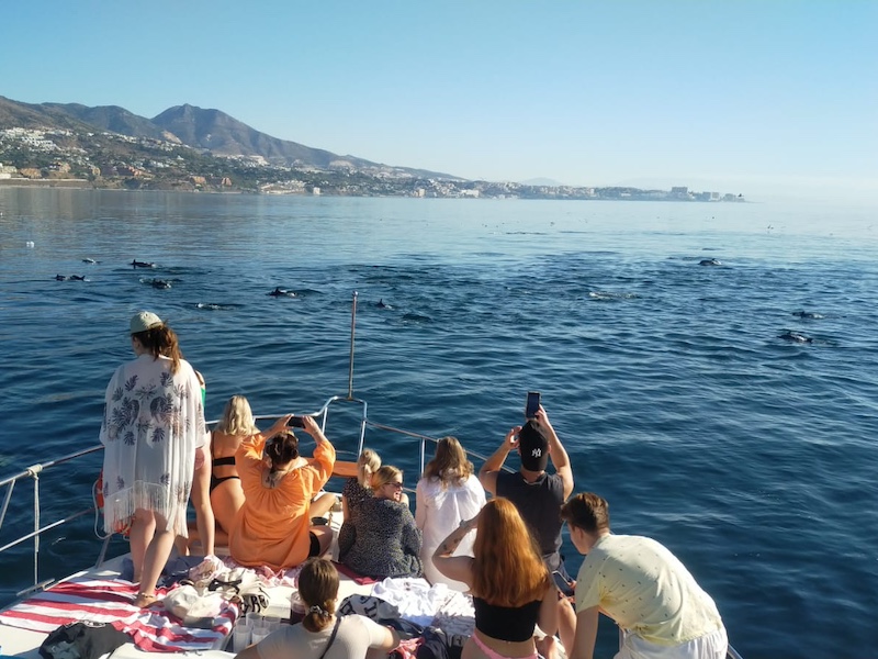 Dolfijnen spotten aan de Costa del Sol in Andalusië