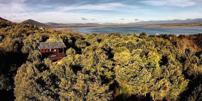 Een boomhut van Ecolodge Cabañeros in nationaal park Cabañeros (Midden Spanje)