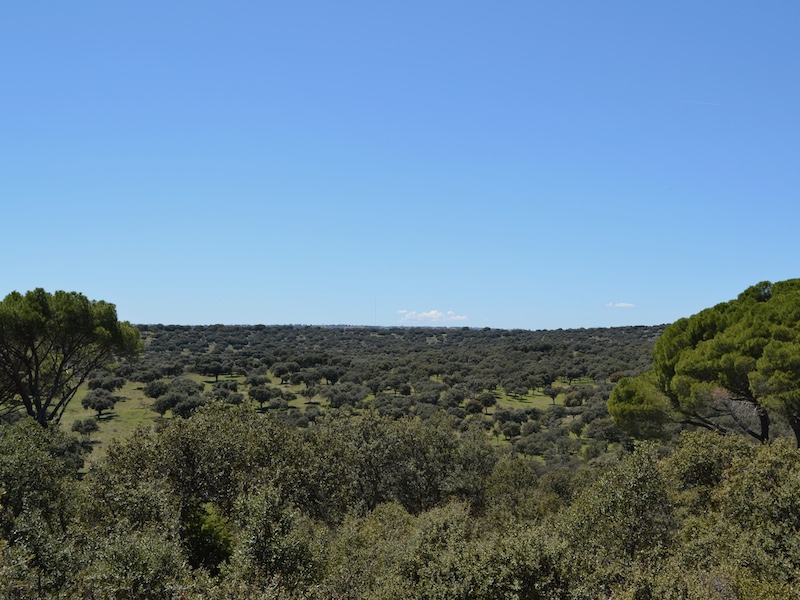 Fietsen en wandelen in Monte de El Pardo (Madrid)